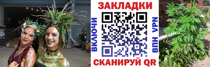 МЕФ Каргат