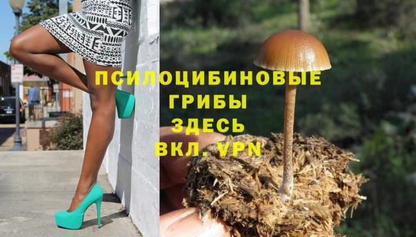 амф Алексеевка
