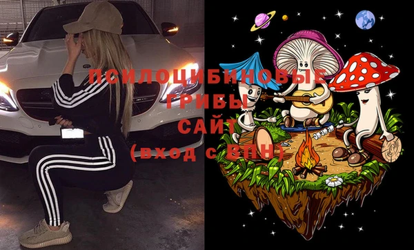 амф Алексеевка